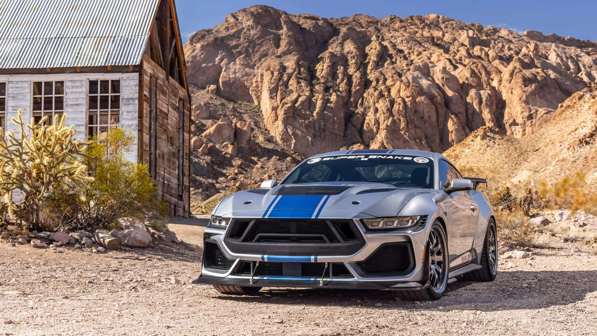 2026 shelby super snake (7)